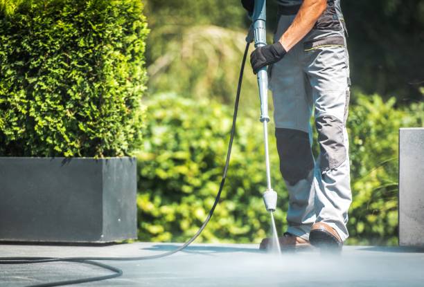 Best Fence Cleaning  in Viola, NY