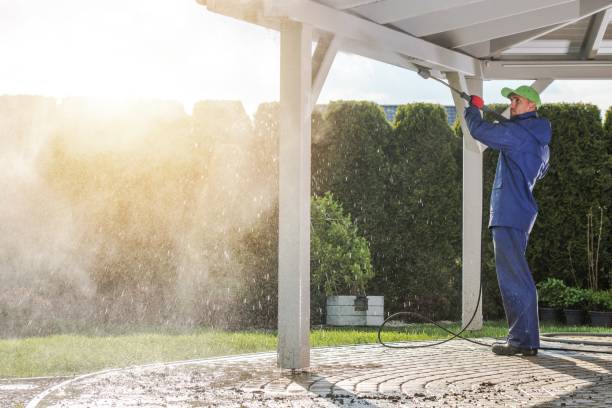 Best Patio and Deck Pressure Washing  in Viola, NY