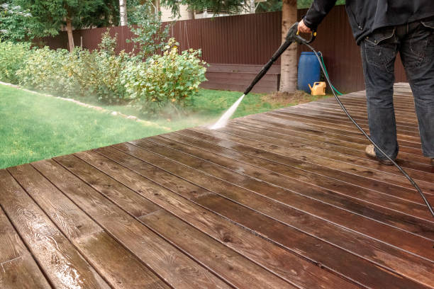 Best Roof Washing  in Viola, NY
